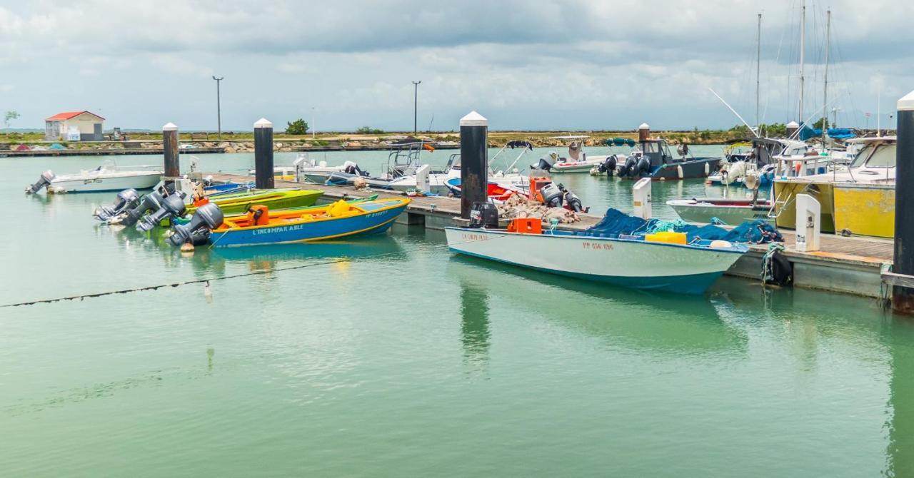 Evasion En Plein Coeur De La Ville T2 Jacuzzis Sauna Et Piscine Au Centre De Port-Louis Buitenkant foto